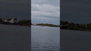 Рыбалка на канале им. Москвы