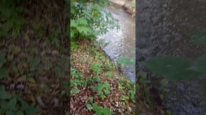 Ищем прикольные нычки в Москве