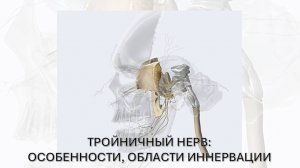 Тройничный нерв. Область иннервации.