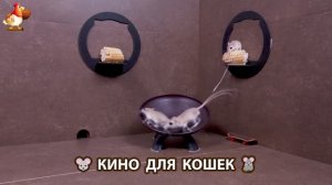 Видео для кошек про крысок развлекать питомцев 🐭🐀😂 (323)