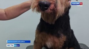 В Крыму представили уникальную коллекцию этнической моды