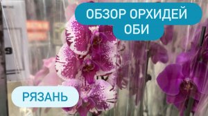 🔴ОБЗОР ОРХИДЕЙ ОБИ РЯЗАНЬ #orchids #обзорорхидей #распаковка #орхидей #орхидеиобзор #орхидеиуценки
