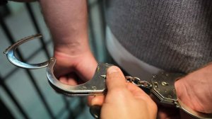 Российские дипломаты высказались о задержании Гречушкина в Болгарии