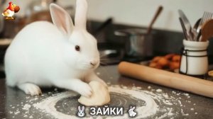 Зая и Зайчата 🐰🐇🐇 Веселые истории из жизни семейства зайчиков (108)