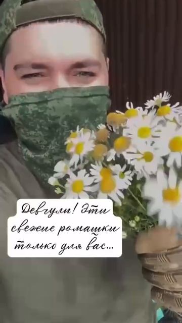 Белые ромашки смотреть онлайн