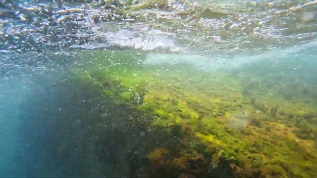 ЧЕРНОЕ МОРЕ. КУПАЮСЬ С РЫБКАМИ.КРЫМ. САНАТОРИЙ ДНЕПР. Жизнь на море / Крым смотреть онлайн