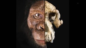 Olimlar qadimgi odamning yuz ko‘rinishini tikladi !!!