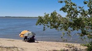 f8a4e1b8-d4e3-47d4-838e-fd9b24cde7da-1_all_7112.mp4