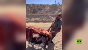 غزة.. مشاهد النزوح القاسية