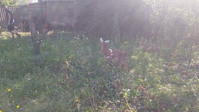 вот и школа началась!