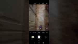 это я показываю дом свой, ну не свой, а радилай