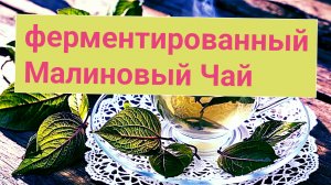 Как я делаю ферментированный малиновый чай