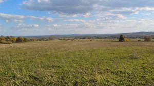 Поехал я значит за грибами часть 3