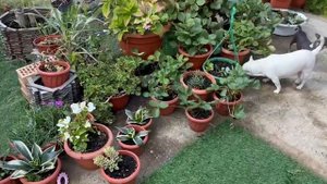 Думала за день не разгребу, а все таки успела.