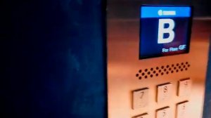 (Happy February 14th!) The FIRST EVER Sigma DDS in Indonesia! - Alila SCBD, Jakarta