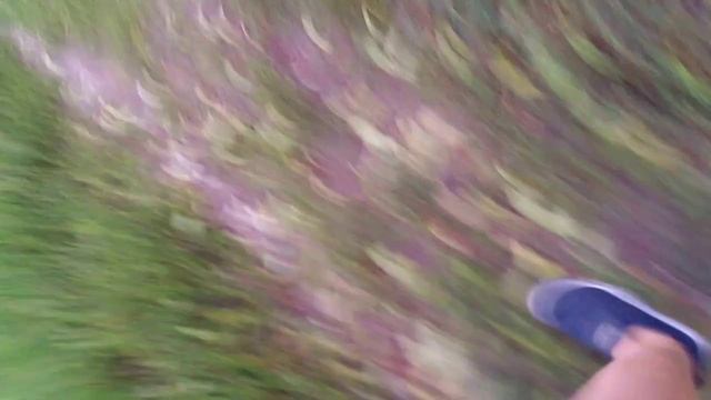 Предатель сломал мне ногу и заодно с маньяком! У предателя есть ошейник который управляет маньяком?