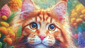 Мой СП Гиганты, получение нового задания!