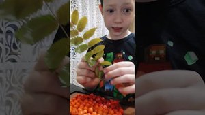 осень осень да это осень 5 лайков наберёт стило бреенрот вперёд