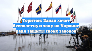 Торнтон: Запад хочет бесполетную зону на Украине ради защиты своих заводов