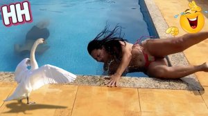 Жизнь смешных и жизнерадостных людей 😆 ｜ ПОПРОБУЙ НЕ РАССМЕЯТЬСЯ В 2025 году 😂😁😆 ｜ Подборка