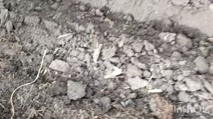 Осенние хлопоты на 21 сентября.