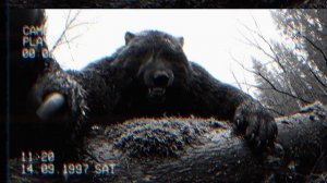 лесной фитнес!!!