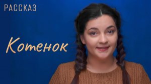 Котенок