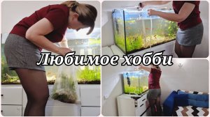 ДОМАШНИЙ АКВАРИУМ 💧 ЧТО НОВОГО 💧 УХОД ЗА АКВАРИУМОМ