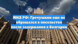 МИД РФ: Гречушкин еще не обращался в посольство после задержания в Болгарии