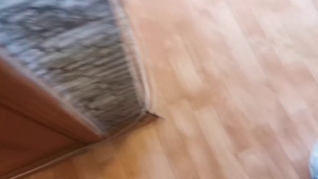 Квартира