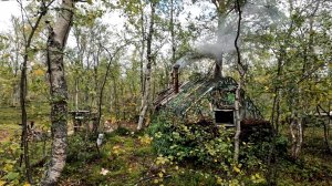 ПОХОД В СТАРУЮ ИЗБУ ,КЛУБНИКА В ТУНДРЕ,ЧАЙ С ЧЕРНИКОЙ,ТЕМНАЯ НОЧЬ В ИЗБЕ ,ПОЙМАЛ ФОРЕЛЬ. РЕТРИТ.
