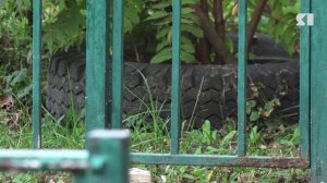 Штрафы за покрышки во дворах Ярославля могут временно отменить