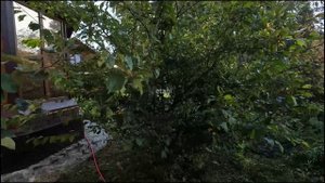 1715234, ДНТ Весна