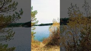 Любовь спасет МИР