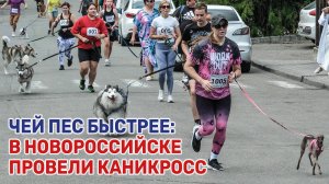 В необычном забеги приняли участие «Кубанские новости»