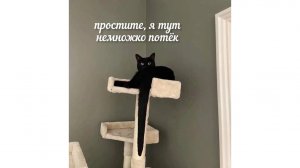 слежу за жизнь дымы