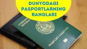 Dunyo pasportlarining ranglari nimalarga bog'liq ___