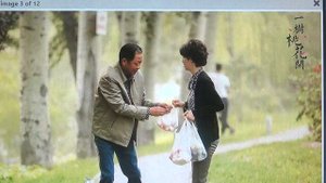 Цветок персика     ПОДПИШИСЬ