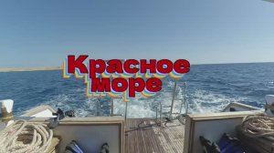 Подводная одиссея в Египте