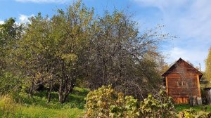 Солнышко явилось!