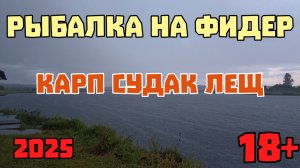 Судак на фидер. Рыбалка под дождем. Карп и Лещ. 22 сентября 2025 г.