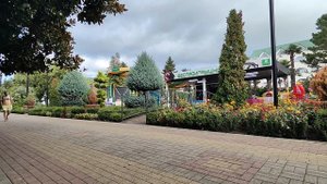 Парк Лазаревское 21.09.25