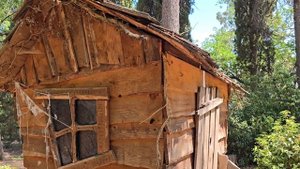 Гурзуфский парк. Крым