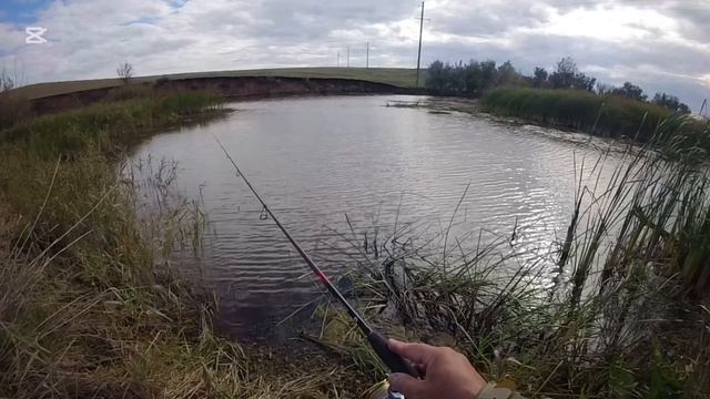Пробная рыбалка на реке Каргалка. Почти по нулям.