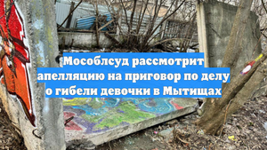 Мособлсуд рассмотрит апелляцию на приговор по делу о гибели девочки в Мытищах