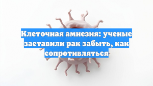 Клеточная амнезия: ученые заставили рак забыть, как сопротивляться