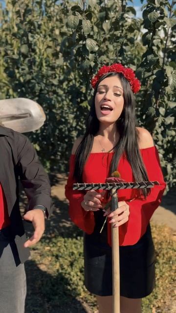 Ромашка белая, лепесточки нежные! Кавер-  группа "КАВЕРХИТ" смотреть онлайн