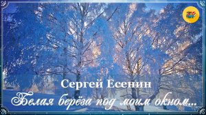 🌟 Сергей Есенин. Береза | Стихи о природе | Стихи наизусть