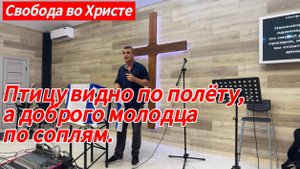 Птицу видно по полету , а доброго молодца по соплям. Антон Черемисин, г.Краснодар.