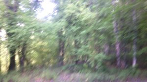 17 VID_20180720_163821